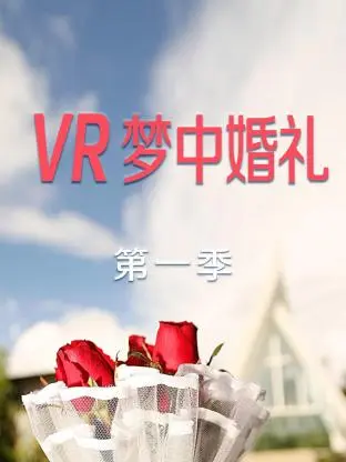 《VR梦中婚礼第一季》全集高清完整版在线观看与剧情解析
