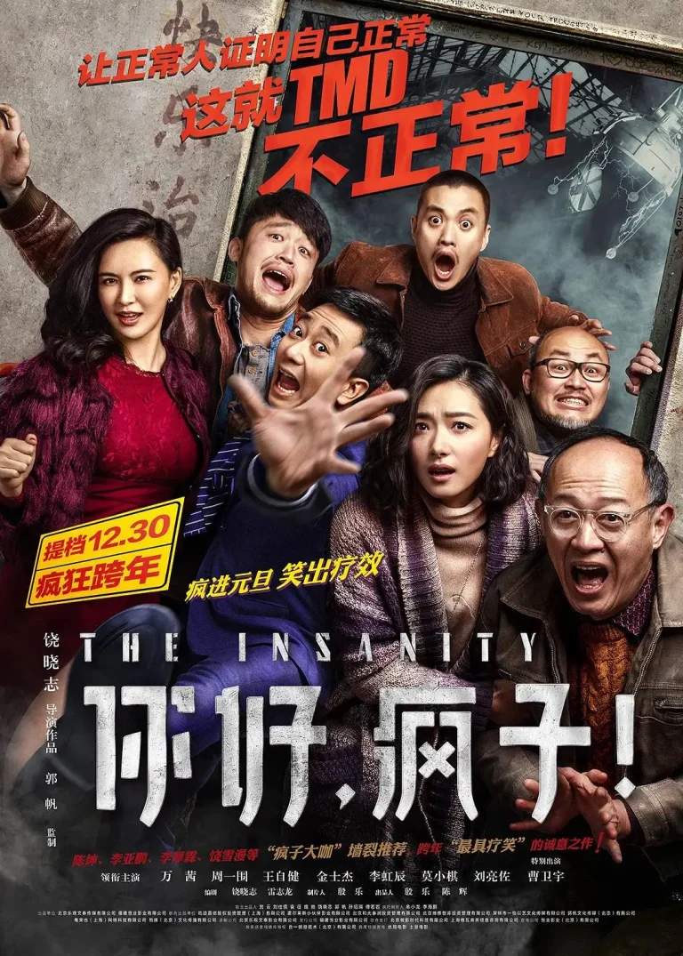《你好，疯子！2016》全集高清完整版在线观看与剧情解析