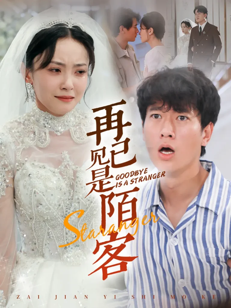 《再见已是陌客》全集高清完整版在线观看与剧情解析