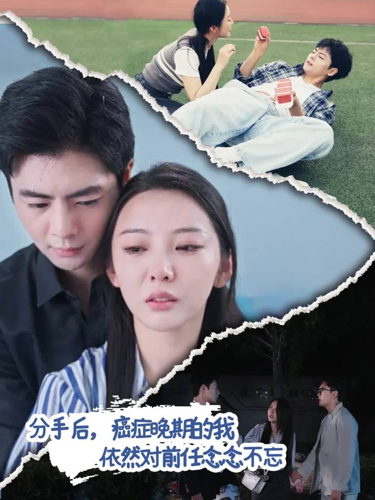 《分手后癌症晚期的依然对前任念念不忘》全集高清完整版在线观看与剧情解析