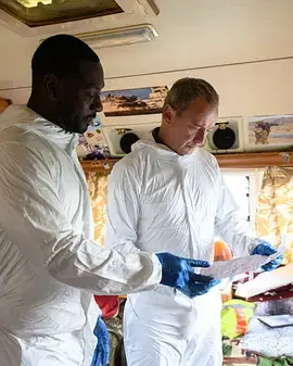 《格雷斯第六季》全集高清完整版在线观看与剧情解析