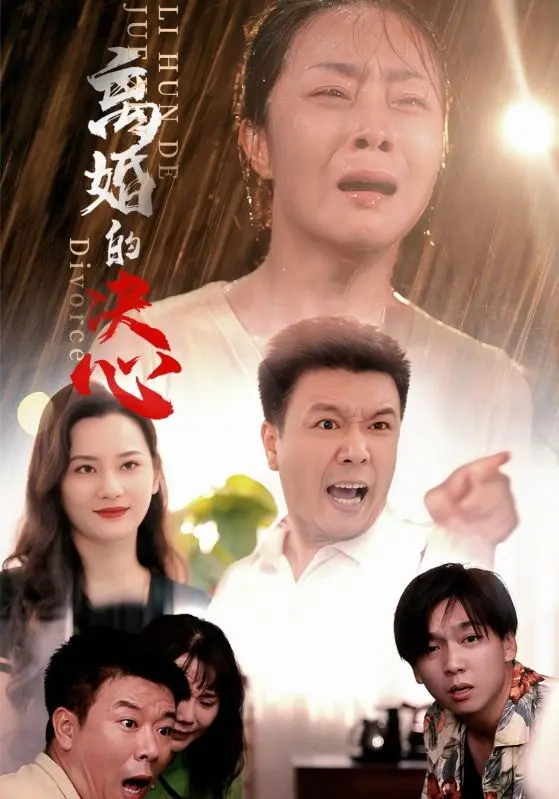 《离婚的决心》全集高清完整版在线观看与剧情解析