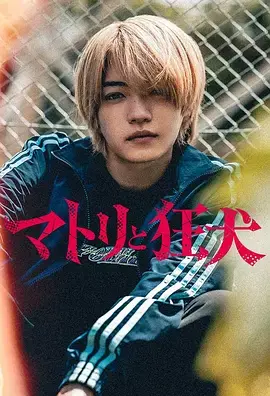 《缉毒警与疯犬》全集高清完整版在线观看与剧情解析