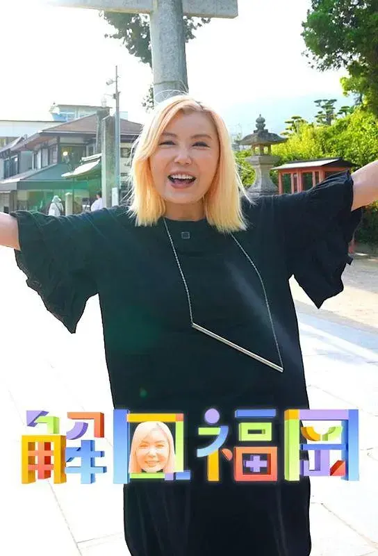 《解风福冈》全集高清完整版在线观看与剧情解析