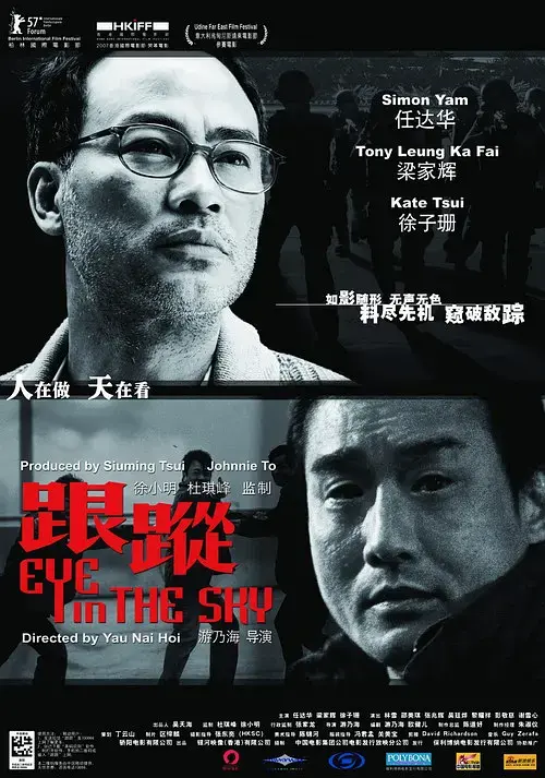 《跟踪2007》全集高清完整版在线观看与剧情解析